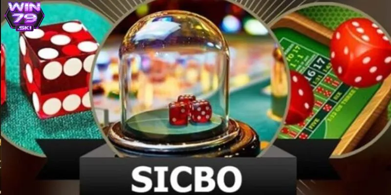 meo choi sicbo 4 Quan sát kết quả và phân tích xu hướng để đặt